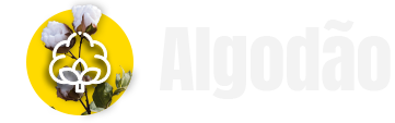 algodão